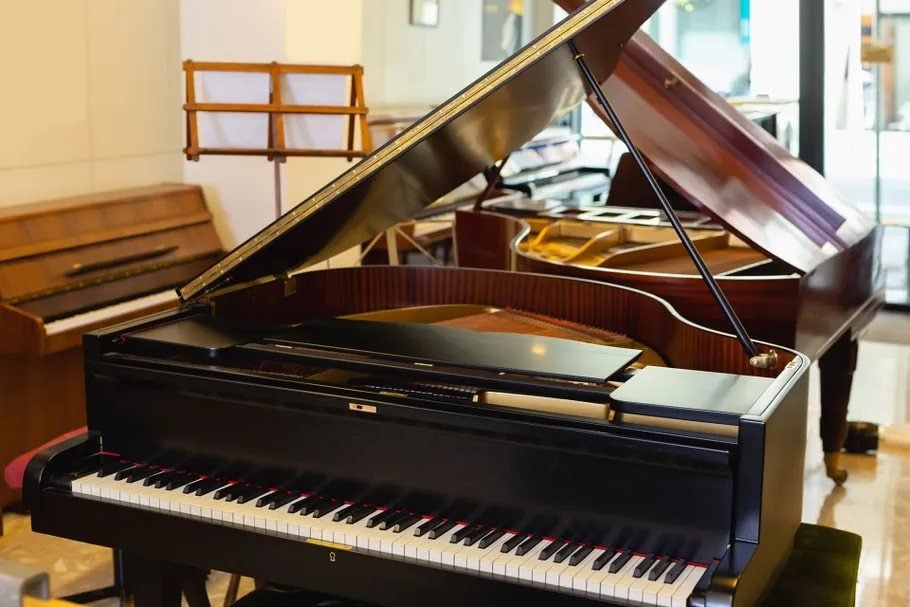 PIANOFORTI-OLDANI-Novara-029-908w